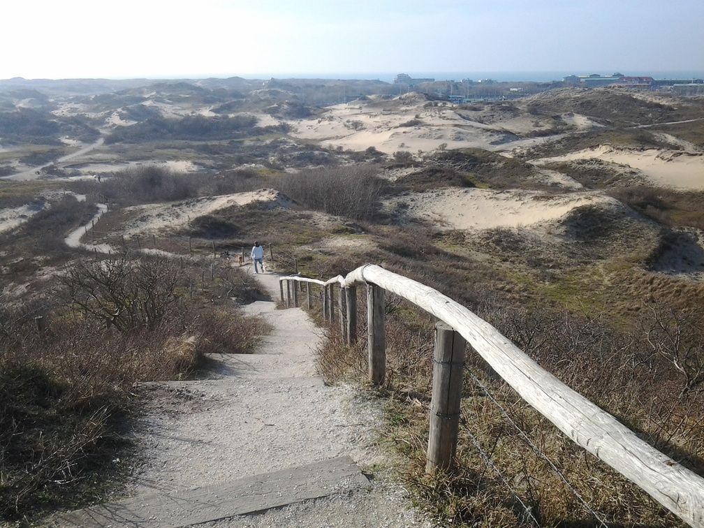 Uitzichtpunt VlaggeDuin 65