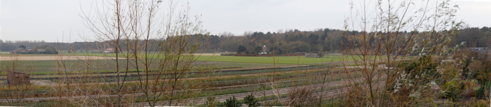 Panorama4