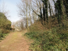 DSC00472