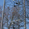 Kwaaktoren 05
