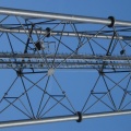 Kwaaktoren 19