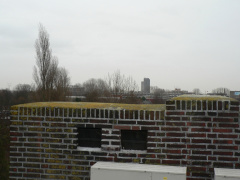 lhs65