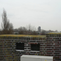lhs65