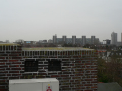 lhs66