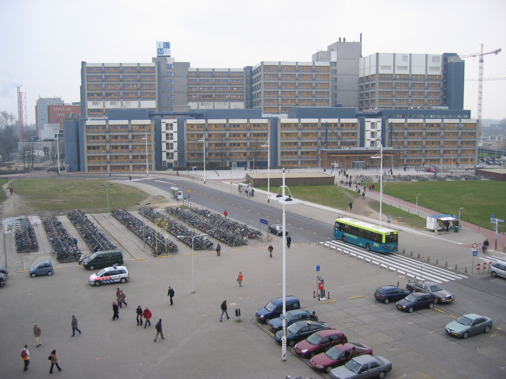 Lebkov013