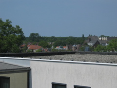 img 3109