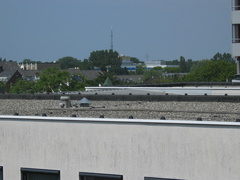 img 3110