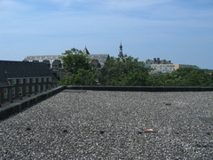 img 3123