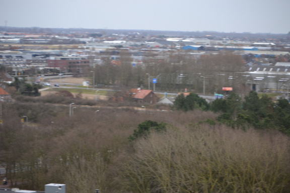 DSC 3668