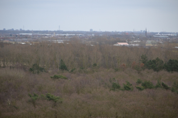 DSC 3679