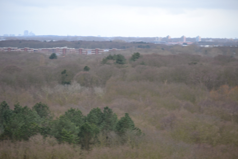 DSC 3691