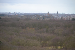 DSC 3692