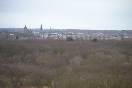 DSC 3693