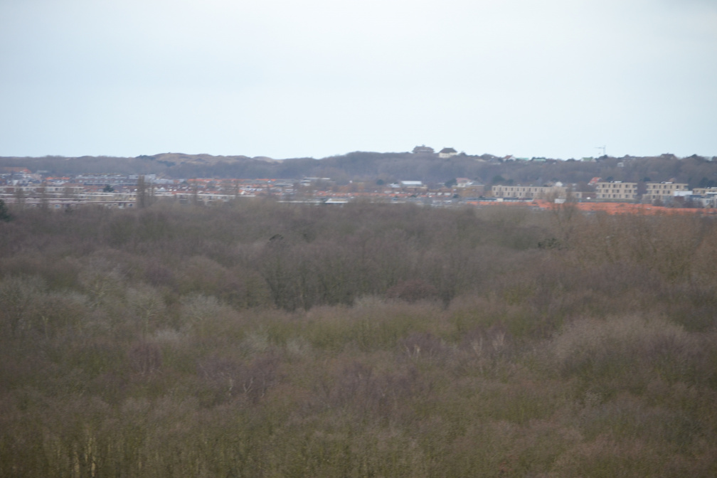 DSC 3695