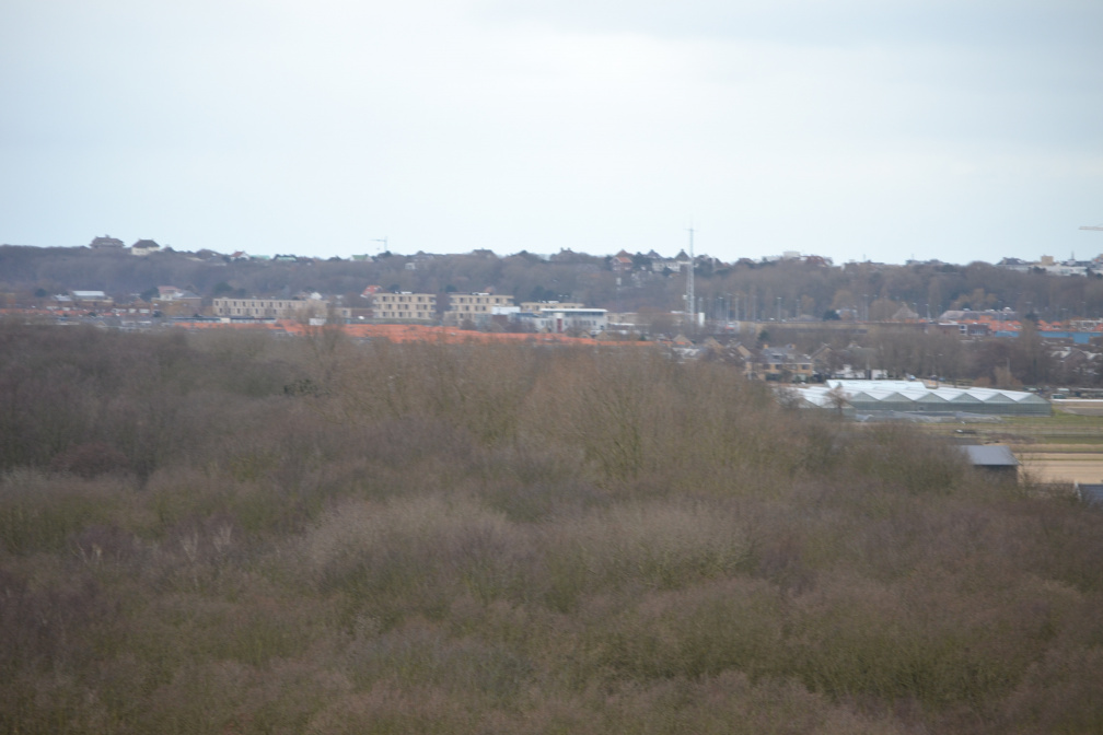 DSC 3696
