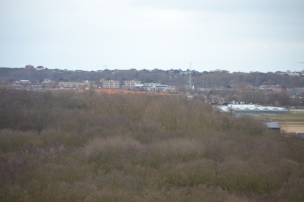 DSC 3696