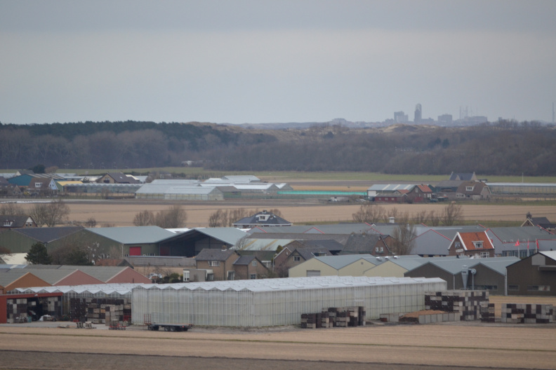 DSC_3511.JPG