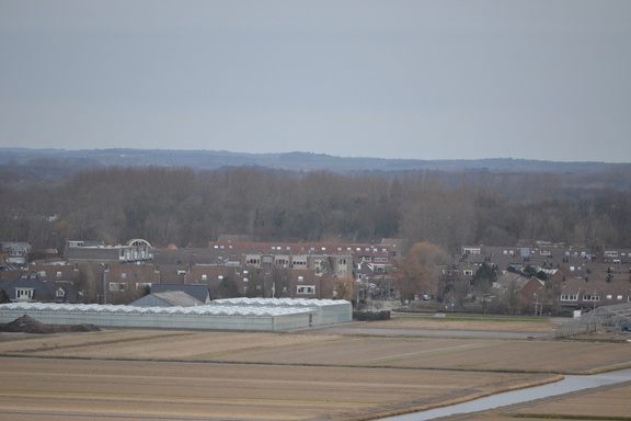 DSC 3517