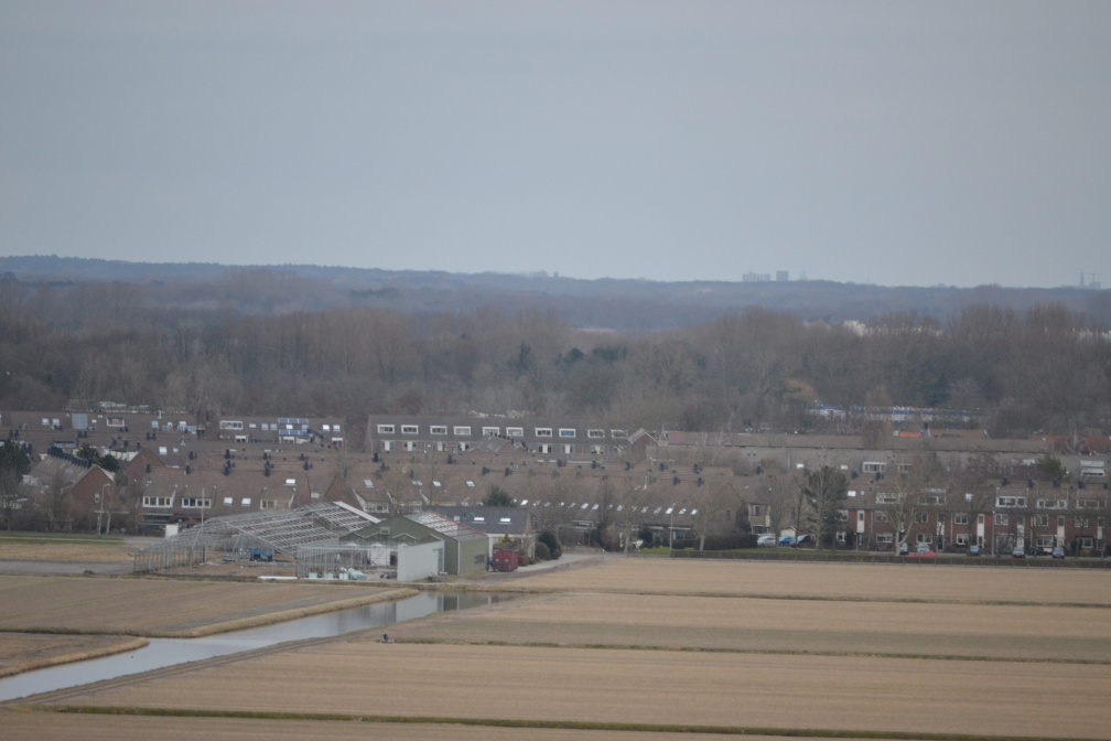 DSC 3519