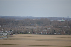 DSC 3520