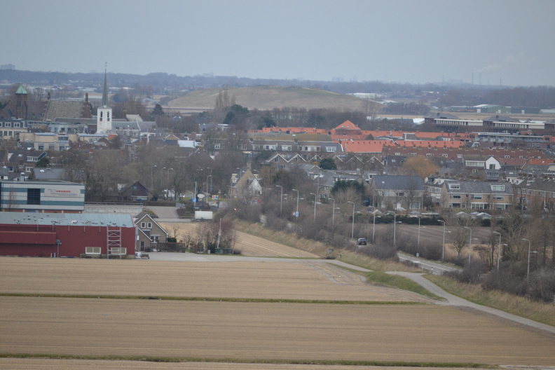DSC 3528