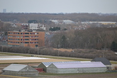 DSC 3541
