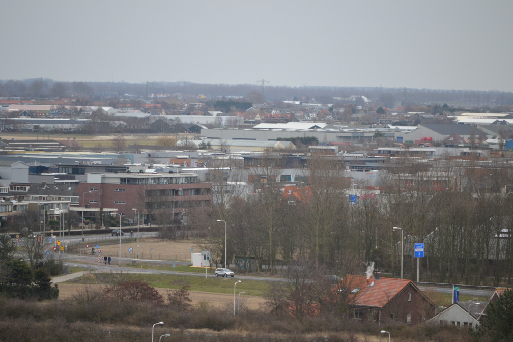 DSC 3554
