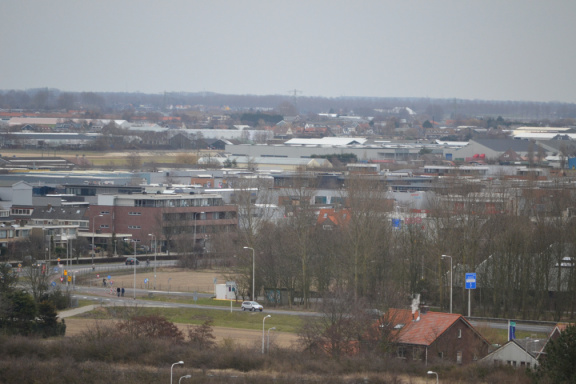 DSC 3554