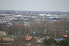 DSC 3555