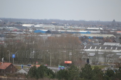 DSC 3556