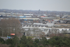 DSC 3557