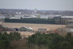 DSC 3561