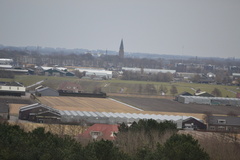 DSC 3564