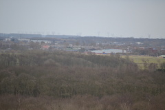DSC 3571