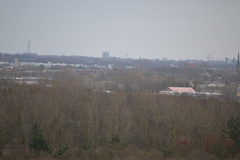 DSC 3575