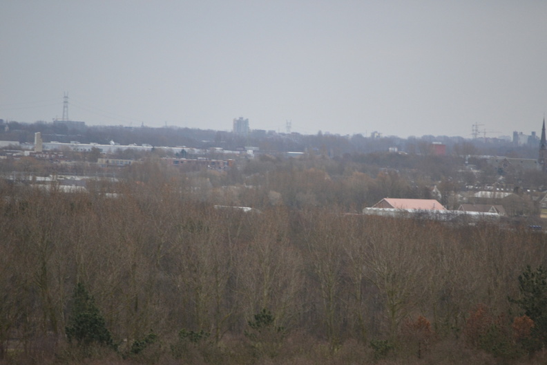 DSC 3575
