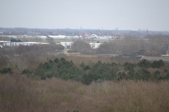 DSC 3585