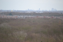 DSC 3589