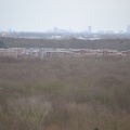 DSC 3589