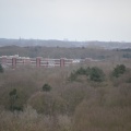DSC 3591
