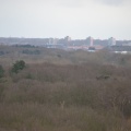 DSC 3592