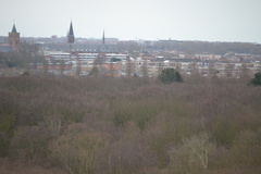 DSC 3594