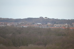 DSC 3597