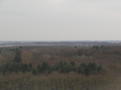 LH038