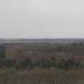 LH038