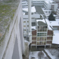 Leeuwenhorst 24