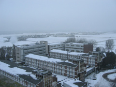 Leeuwenhorst 25