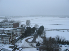 Leeuwenhorst 26