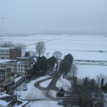 Leeuwenhorst 26