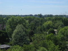 Leythenrode 44